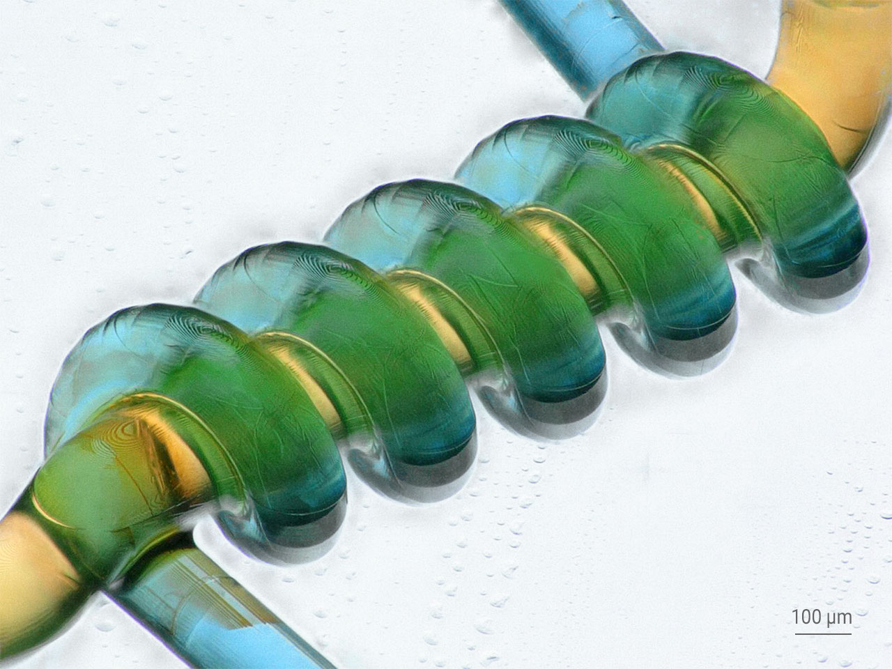 [视频] Nanoscribe Quantum X bio 世界上最精确的生物3D打印机