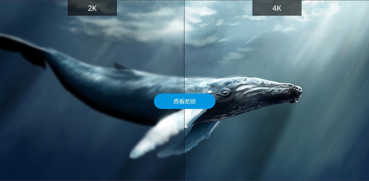 [视频] NOVA3D Whale 2 4K 8.9寸 免调平MSLA 3D打印机