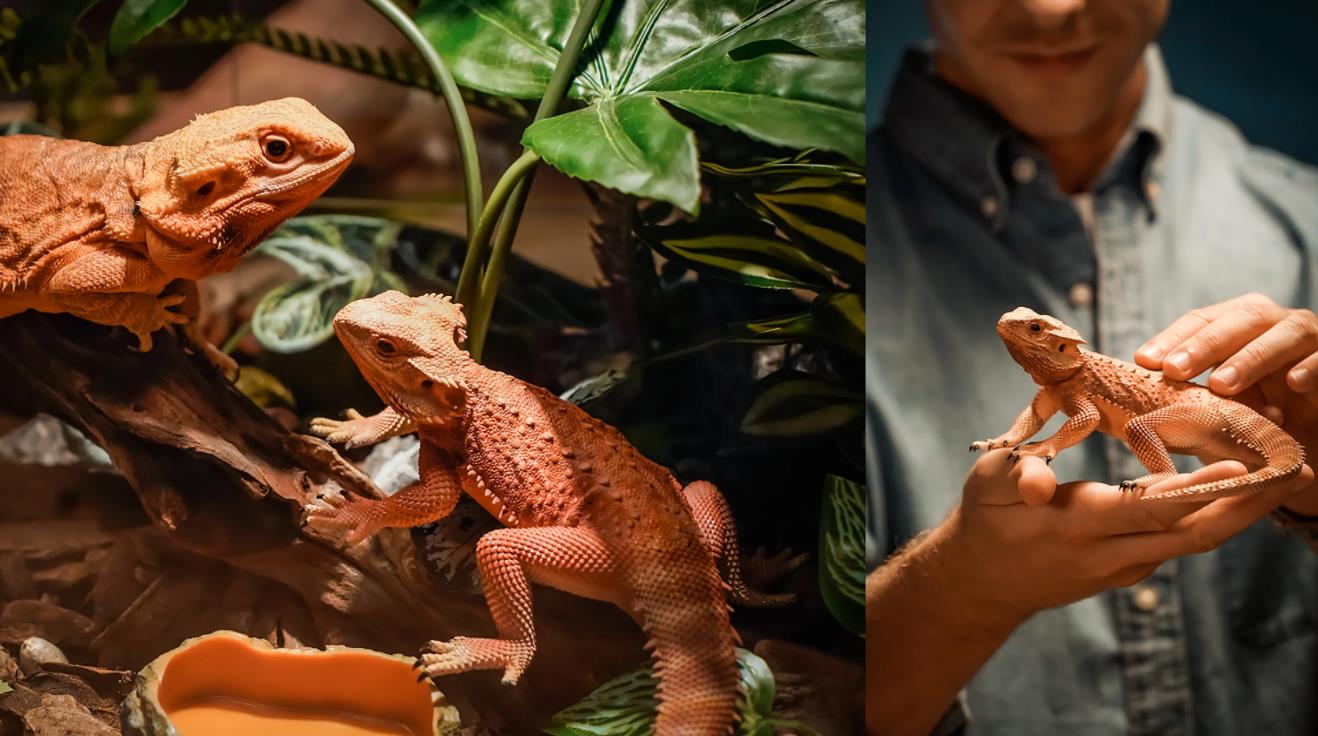 [视频] Anycubic Photon Mono M5s 10.1寸12K  LCD光固化3D打印机 | 免调平 | 快3倍