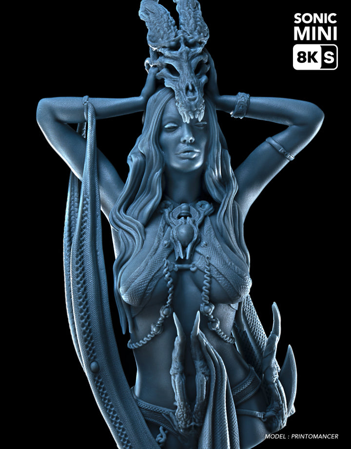 [视频] Phrozen Sonic Mini 8K S 每个人都能负担得起高分辨率8K LCD 3D打印机