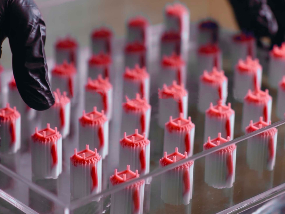 [视频] Flashforge WaxJet 510：重新定义精度 专为K金珠宝铸造而生