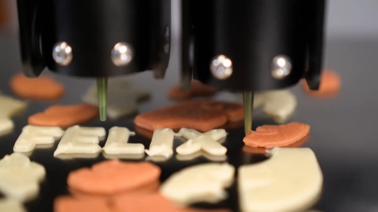 [视频] FELIX Food 1.6 - Switch Head 双头可切换食品3D打印机