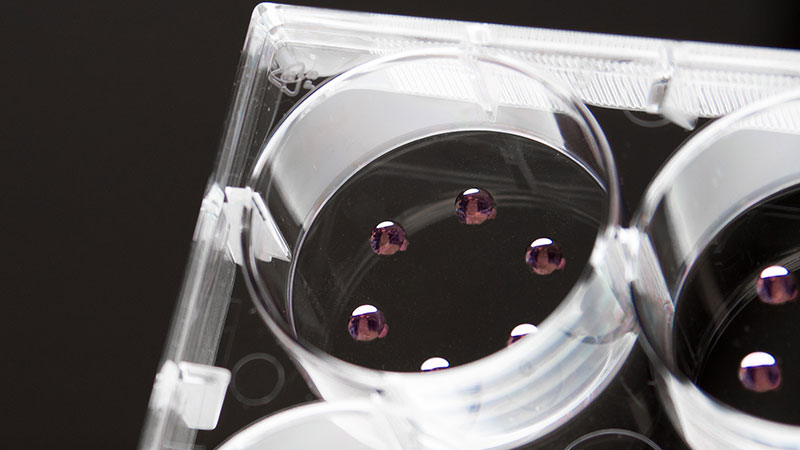 [视频] CYTENA BIO ONE生物3D打印机：解锁3D细胞培养的世界