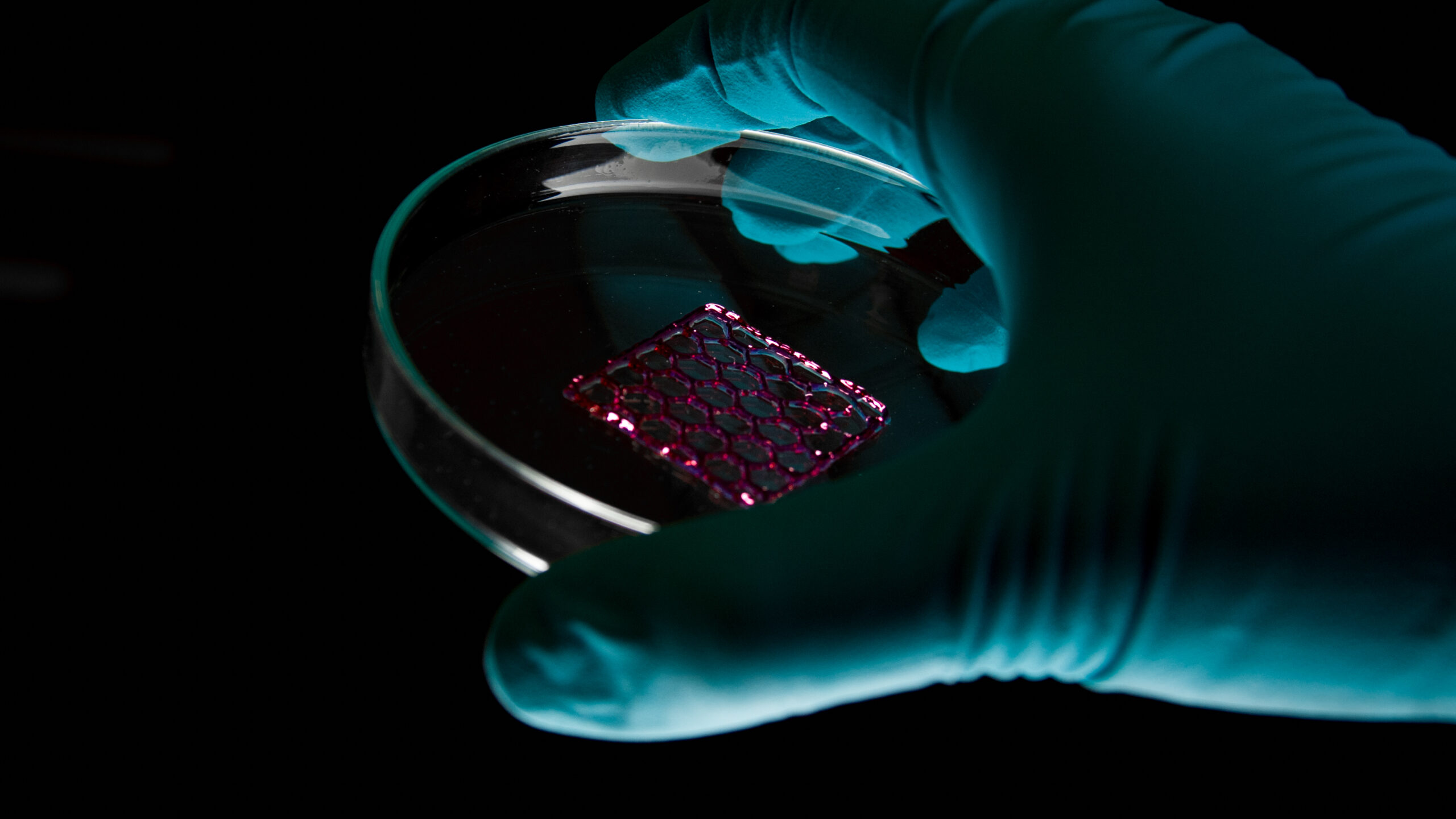 [视频] CYTENA BIO ONE生物3D打印机：解锁3D细胞培养的世界