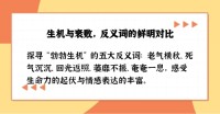 回光反照的意思_回光反照的近义词|反义词_回光反照造句例句