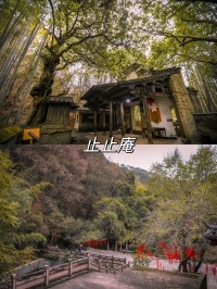 曲径通幽的意思_曲径通幽的近义词|反义词_曲径通幽造句例句