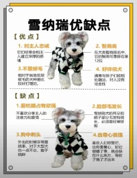 画虎类犬的意思_画虎类犬的近义词|反义词_画虎类犬造句例句