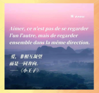 verrue是什么意思？法语verrue的中文翻译