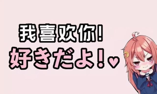 河村黎吉是什么意思？日语河村黎吉的中文翻译及用法