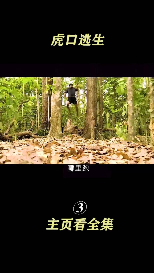 虎口逃生的意思_虎口逃生的近义词|反义词_虎口逃生造句例句