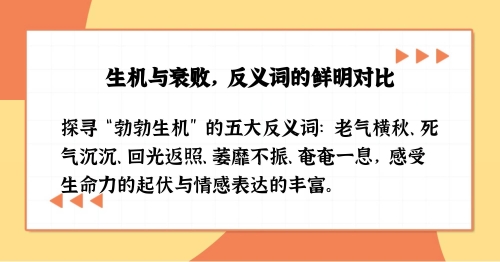 回光反照的意思_回光反照的近义词|反义词_回光反照造句例句