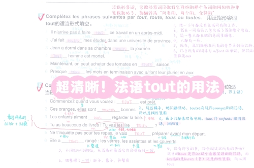 usurpation是什么意思？法语usurpation的中文翻译